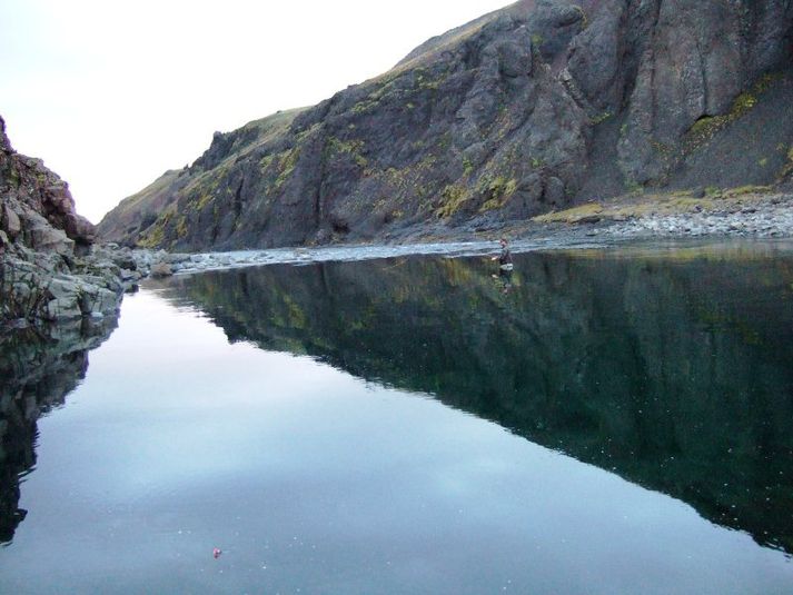 Veiðimaður kastar flugu í Stóru-Laxá á svæði 4.