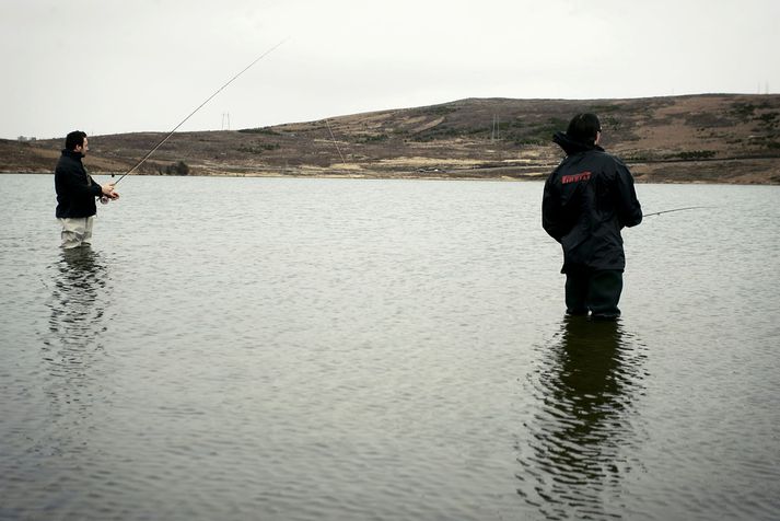 Urriðinn í Elliðavatni ku vera vel haldinn. 