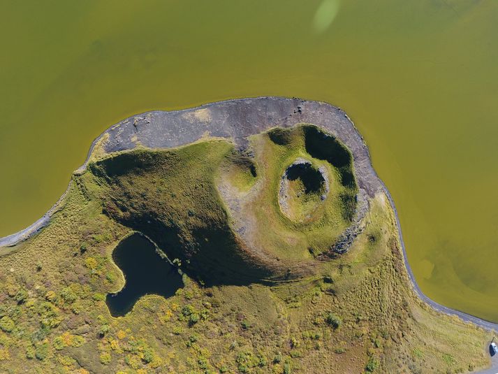 Grænum lit slær á Mývatn þegar bakteríurnar ná sér á fullan skrið, eins og hér 5. september í sumar.