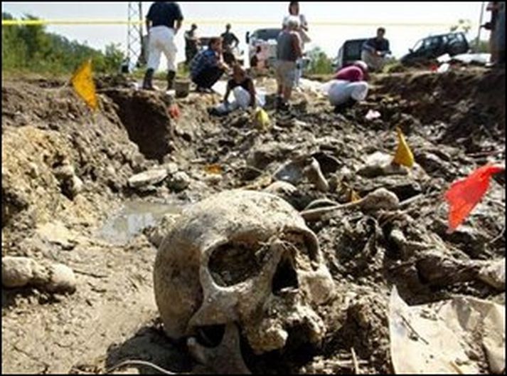 Fjöldagröf í Srebrenica.