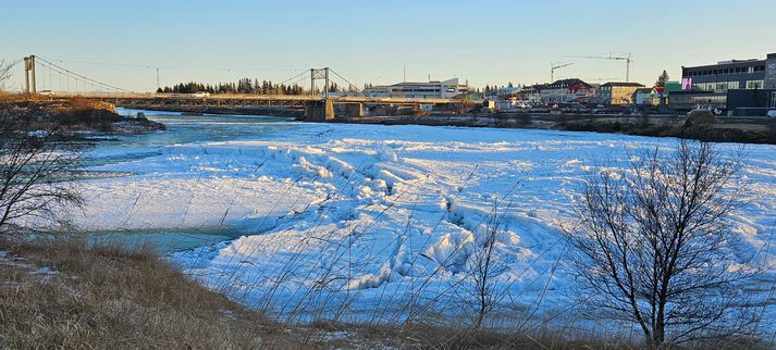 Krapastíflan, sem hefur myndað í Ölfusá við Selfoss