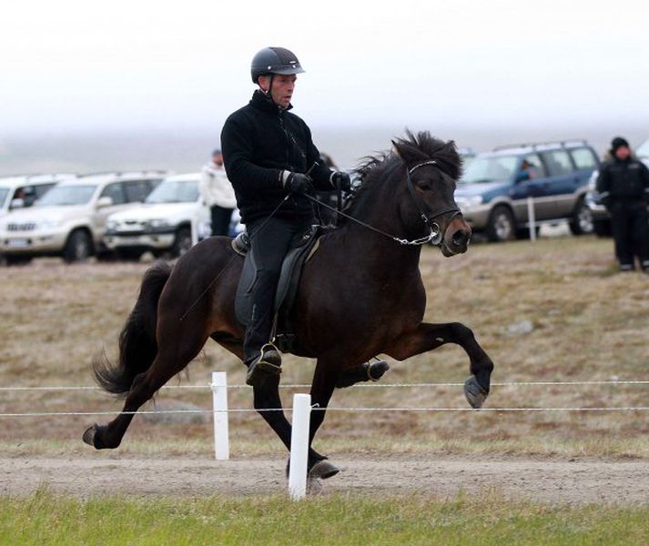 Spuni er korgjarpur glæsigripur sem á framtíðina fyrir sér