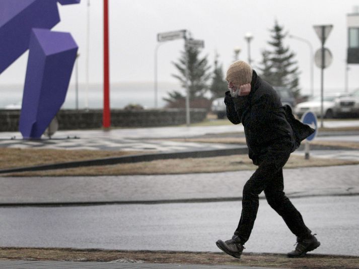 Búist er við allhvassri eða hvassri austanátt syðst á landinu seint í kvöld og fram eftir nóttu.