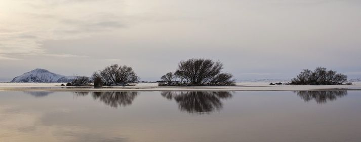 Heilbrigðiseftirlit sveitarfélaga verður þynnt.