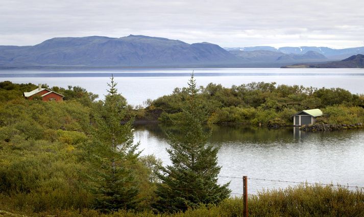 Innbrotum í sumarhús á Suðurlandi virðist hafa fækkað. Fréttablaðið/Pjetur