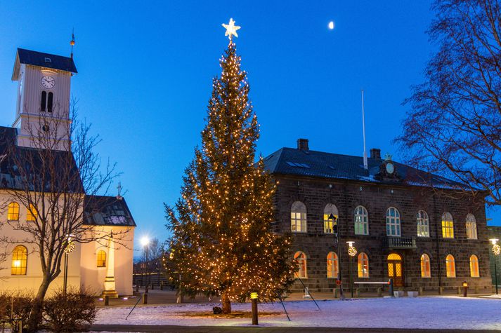 Oslóartréð á Austurvelli á köldum desemberdegi.